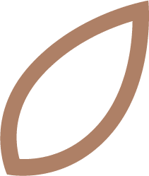 Asset 8 Brown Outline Leaf