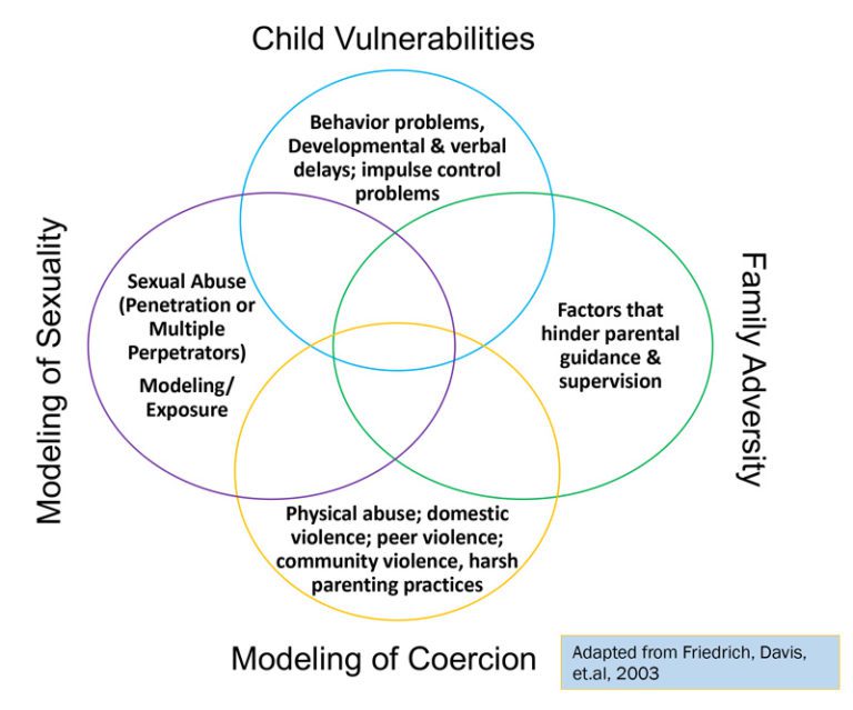 Problematic Sexual Behavior What Causes Problematic Sexual Behaviors | Dakota Children's Advocacy ...