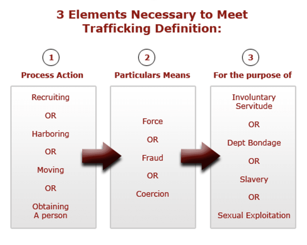 Elements Necessary to Meet Trafficking Definition