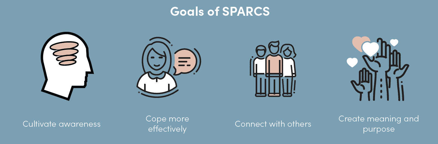 SPARCS Section Image 2 SPARCS Section 2