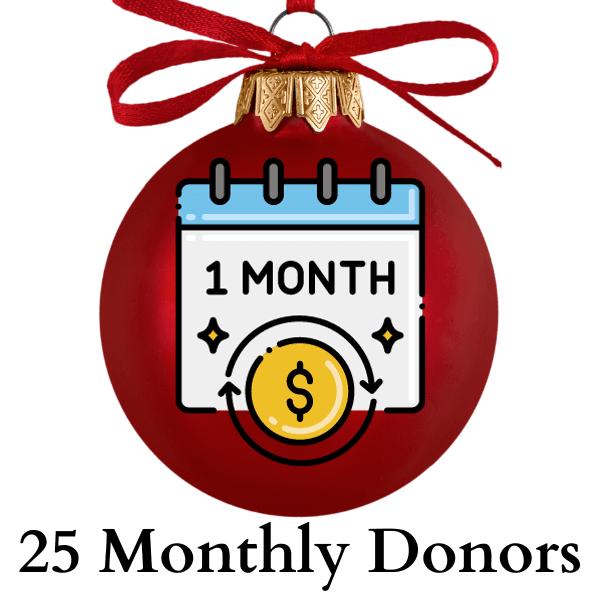 A large, red ornament with a calendar containing the words '1 Month.' Also, there is a coin with circular arrows indicating recurrence.