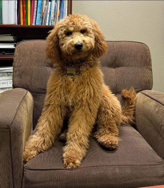 Scout May 2025